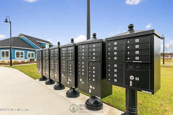 3091 Firethorn Ave, Orange Park, FL 32073