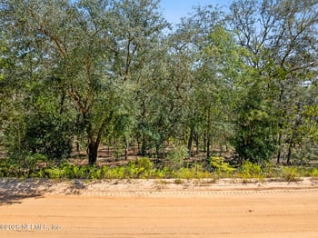 Lake Lucy Cir, Interlachen, FL 32148