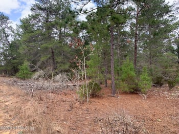 XXX St Lucie Ave, Interlachen, FL 32148