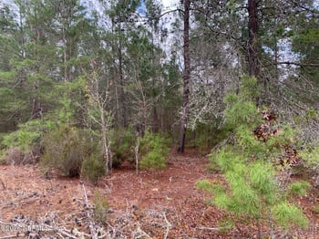 XXX St Lucie Ave, Interlachen, FL 32148