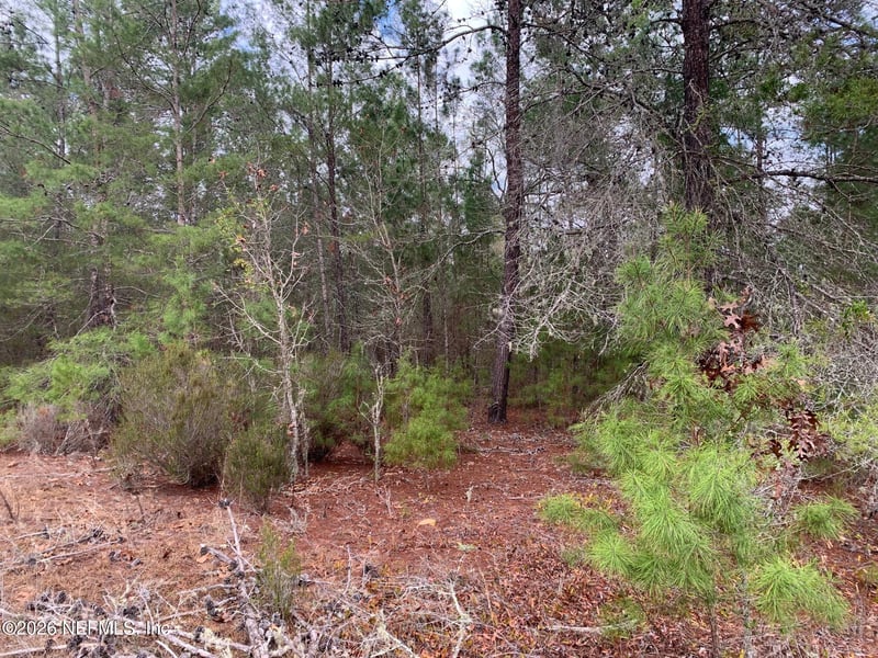 XXX St Lucie Ave, Interlachen, FL 32148