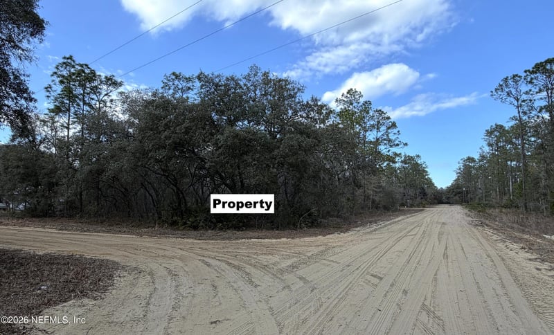 00 Banks Ave, Interlachen, FL 32148