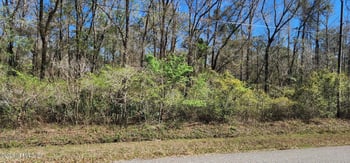 9770 Deep Creek Blvd, Hastings, FL 32145