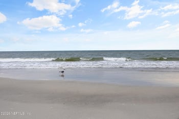 205 Seaside Vista Ct, St Augustine, FL 32084