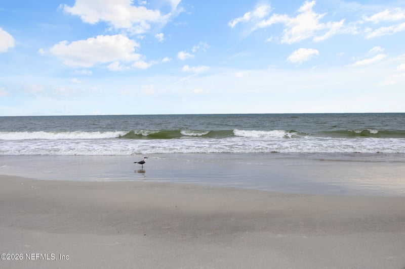 205 Seaside Vista Ct, St Augustine, FL 32084