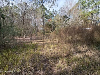 2009 Catherine Ln, Middleburg, FL 32068