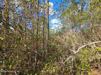 302 Tangerine Trl, Satsuma, FL 32189