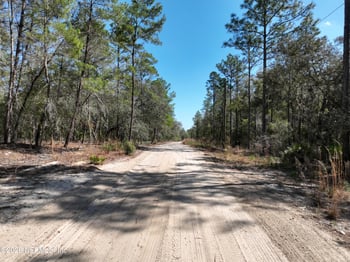 143 Florida Blvd, Satsuma, FL 32189