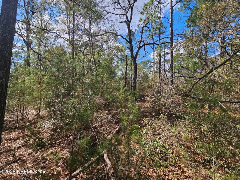 416 Mourning Dove Rd, Satsuma, FL 32189