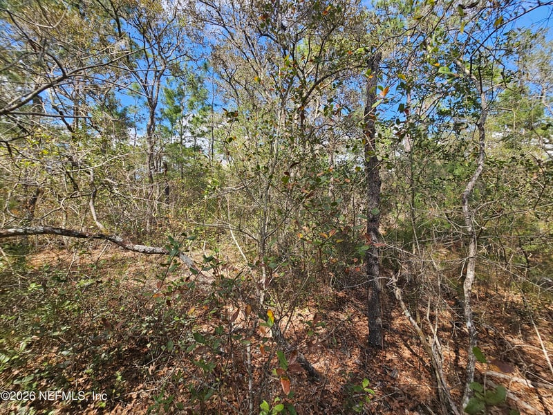 416 Mourning Dove Rd, Satsuma, FL 32189