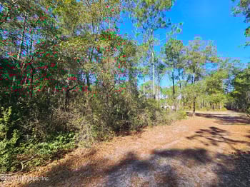 127 Roebuck St, Georgetown, FL 32139