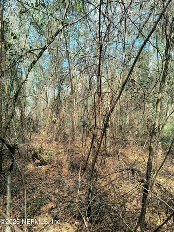 000 First St, Hawthorne, FL 32640