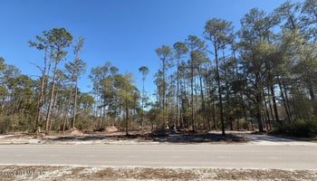 34 Whispering Pines Rd, Georgetown, FL 32139