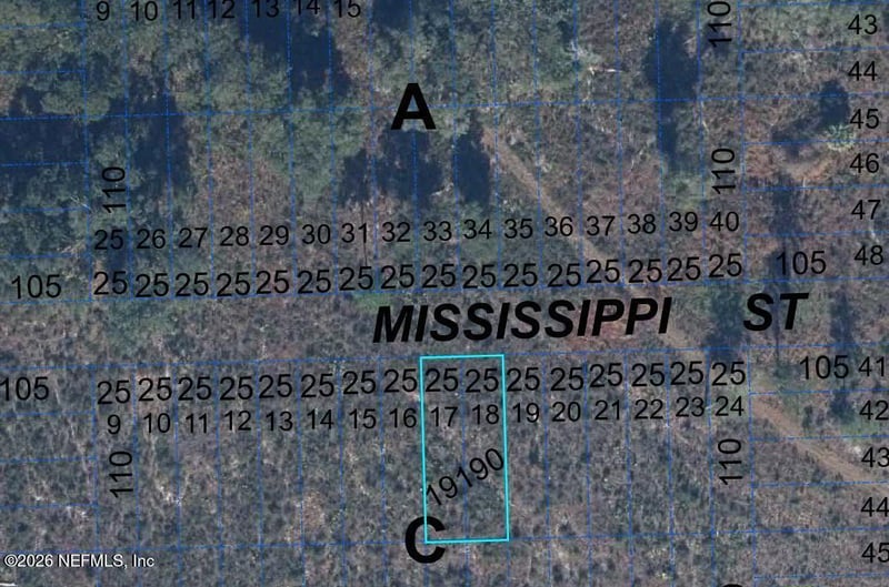 000 Mississippi St, Hawthorne, FL 32640