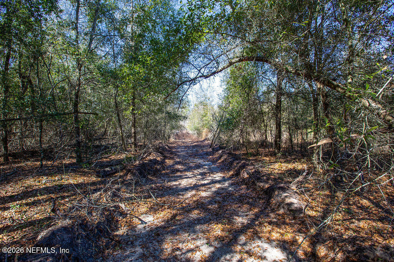 0 221st Pl Lot 2 St, Live Oak, FL 32060
