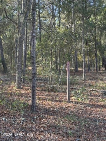 119 Coconut St, Pomona Park, FL 32181