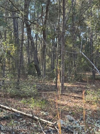 119 Coconut St, Pomona Park, FL 32181