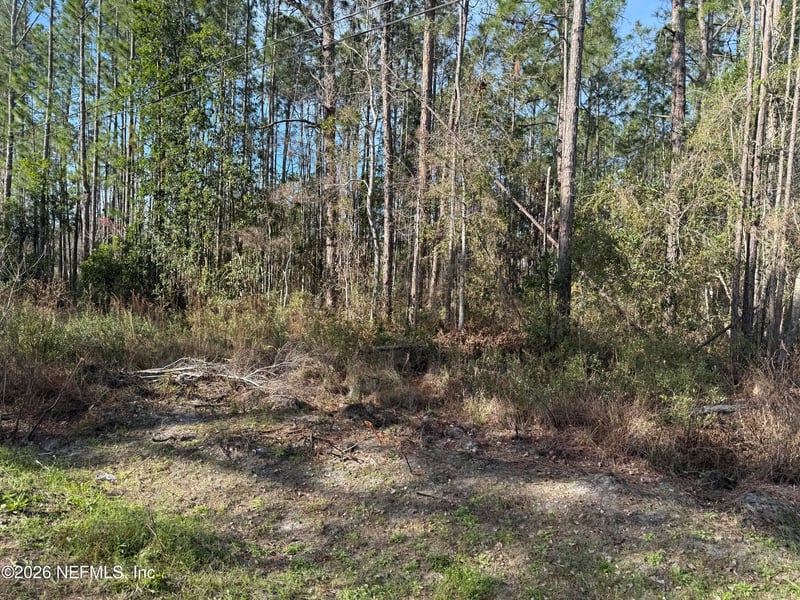 0 Wolf Trl, Middleburg, FL 32068