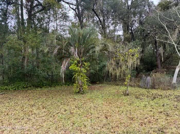 809 Cypress Ave, Green Cove Springs, FL 32043