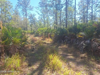 330 Damascus Rd, Deland, FL 32724