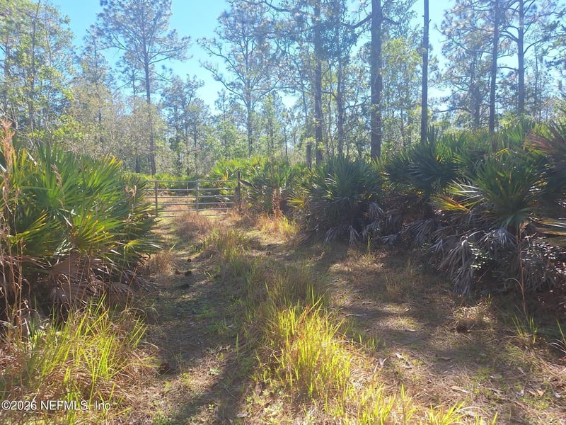 330 Damascus Rd, Deland, FL 32724