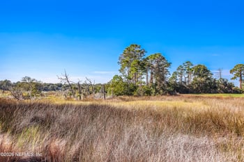 13762 Windsor Crown Ct, Jacksonville, FL 32225