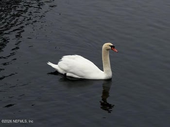 26 Fox Valley Dr, Orange Park, FL 32073