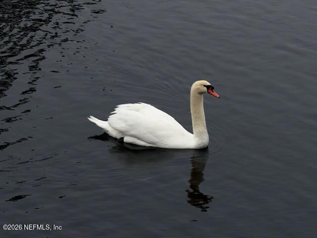 26 Fox Valley Dr, Orange Park, FL 32073