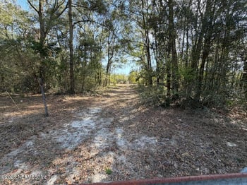 207 River Oak Ct, Fort White, FL 32038