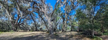 000 Harris Fish Camp Rd, Crescent City, FL 32112