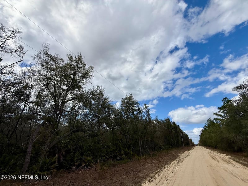 XXX Usina Ave, Interlachen, FL 32148