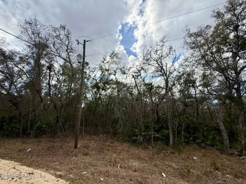 XXX Usina Ave, Interlachen, FL 32148