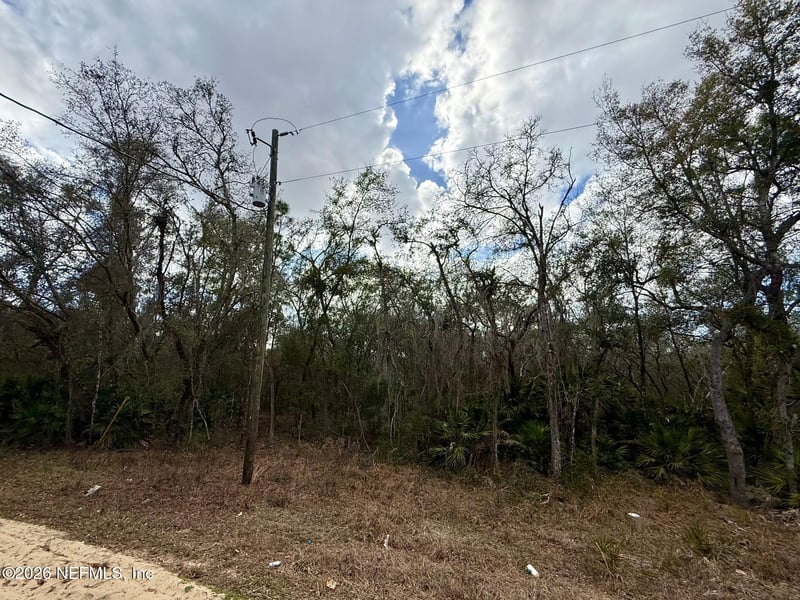 XXX Usina Ave, Interlachen, FL 32148