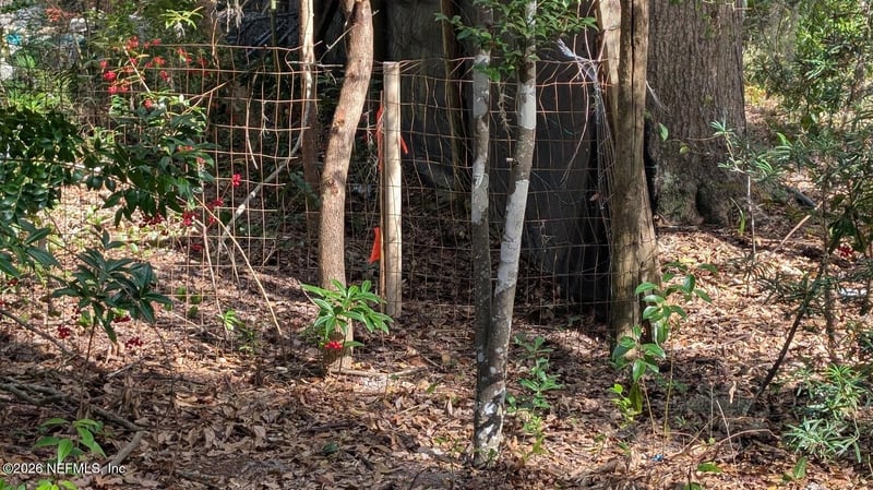 000 Harris Fish Camp Rd, Crescent City, FL 32112