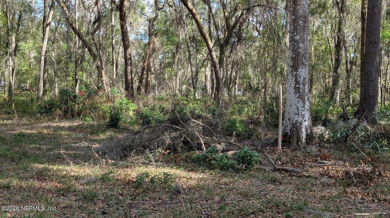 000 Harris Fish Camp Rd, Crescent City, FL 32112