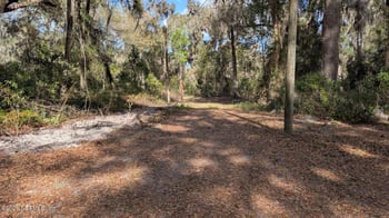 000 Harris Fish Camp Rd, Crescent City, FL 32112