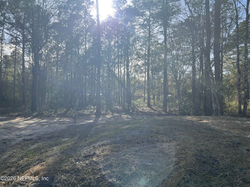 10045 Underwood Ave, Hastings, FL 32145