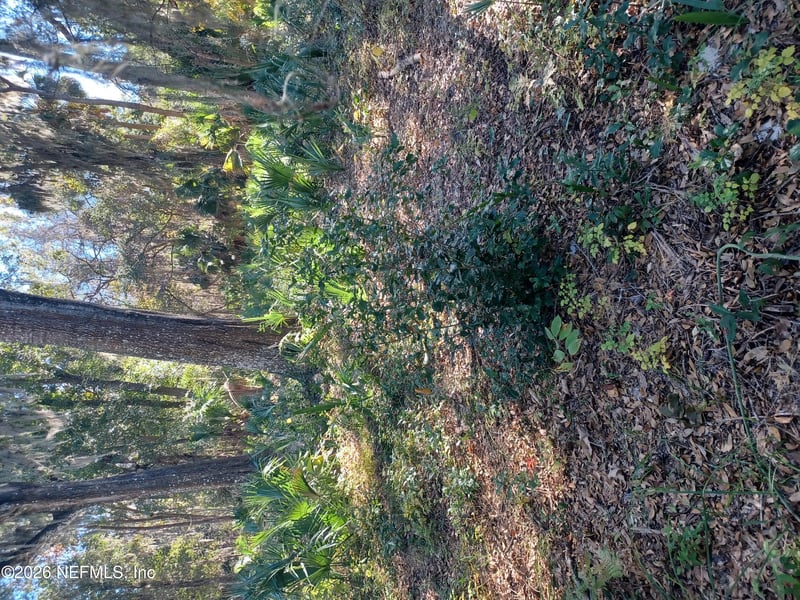 2499 Henley Rd, Green Cove Springs, FL 32043