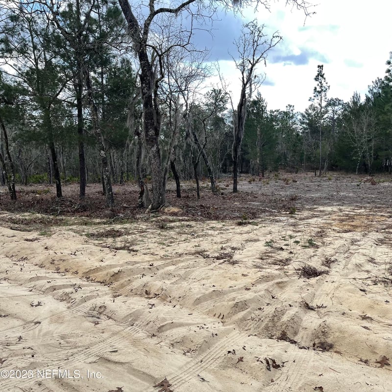 205 London Ave, Interlachen, FL 32148