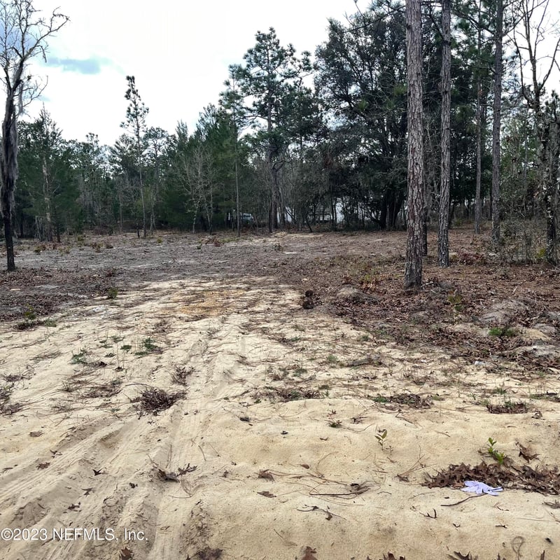 205 London Ave, Interlachen, FL 32148