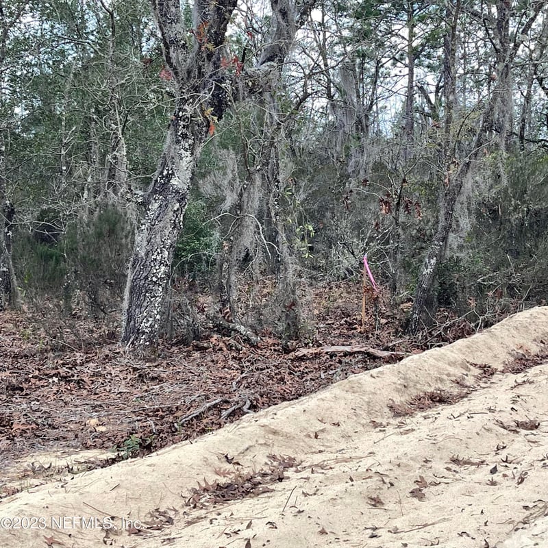 205 London Ave, Interlachen, FL 32148