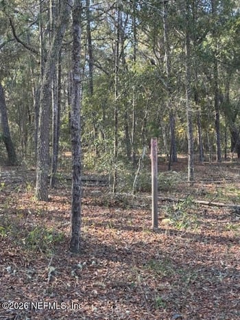 113 Grove St, Welaka, FL 32112