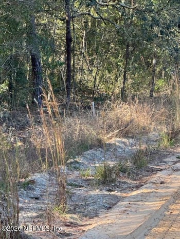 113 Grove St, Welaka, FL 32112