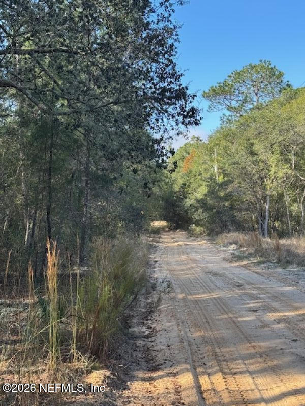 113 Grove St, Welaka, FL 32112