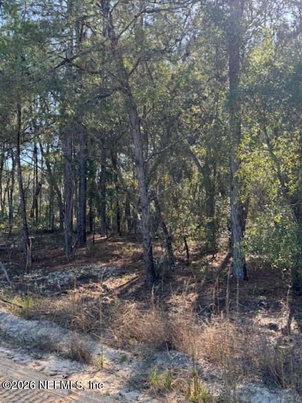 113 Grove St, Welaka, FL 32112