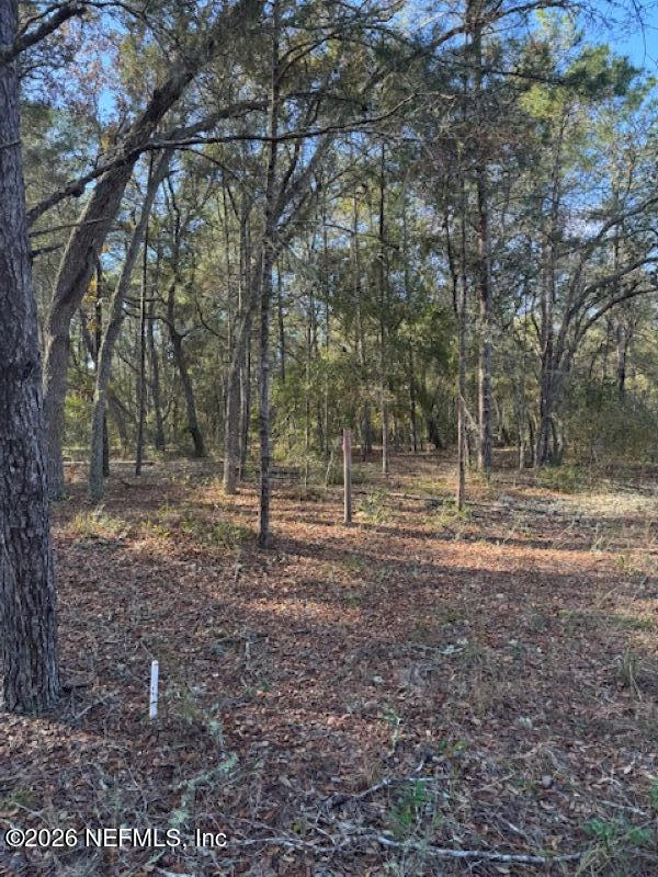 113 Grove St, Welaka, FL 32112