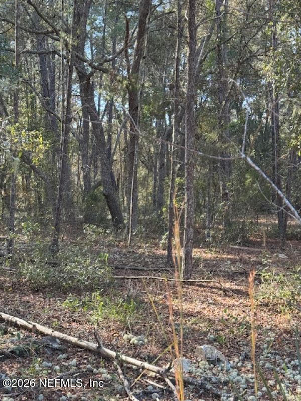 113 Grove St, Welaka, FL 32112