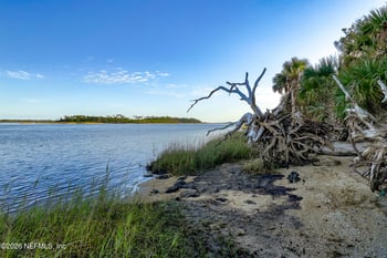 212 Kiwi Palm Ct, Jacksonville, FL 32081