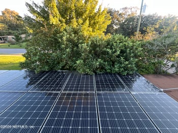 10419 Agave Rd, Jacksonville, FL 32246