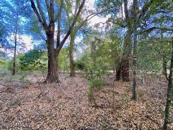 142nd Ave, High Springs, FL 32643